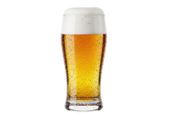 A pristine pilsner glass filled with vibrant golden beer and thick white foam, glistening condensation, isolated on a transparent background with copy space, concept for beverage advertising