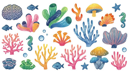 Colorful coral reef marine life collection. © YAZID