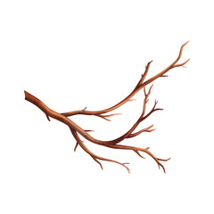 Brown Watercolor Tree Branch with Multiple Twigs on White wood vector illutrastion transparent background