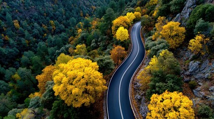Curvy road winds through forest with yellowing trees and scattered leaves in autumn