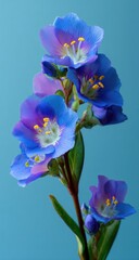 Close-up of vibrant blue flowers