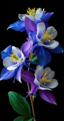 Vibrant blossoms against a dark backdrop