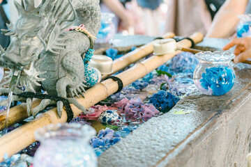 雨引観音の美しい紫陽花