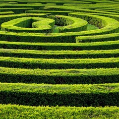 Green hedge maze aerial view geometric garden design and outdoor recreation