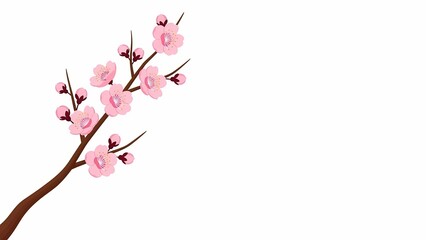 Fototapeta premium Blooming cherry blossom branch with pink flowers