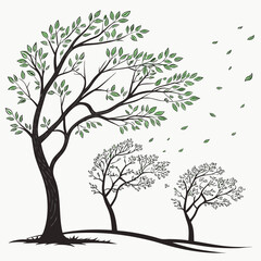 Obraz premium Trees with leaves blowing in the wind on white background