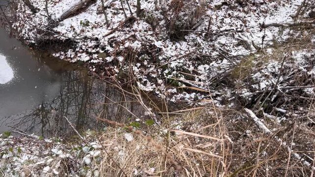 Beavers built many small lakes in the mountains with dams of branches and clay. Winter came, snow covered the ground, and the animals hibernated.
