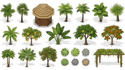 Tropical plants and trees collection with hut isolated on white background
