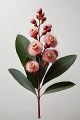 Minimalist Pink Floral Composition for Wedding Invitation