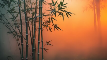 misty orange background with bamboo