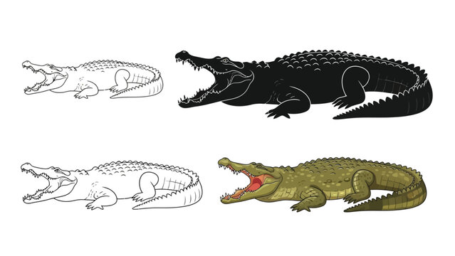 Set of four crocodiles illustrations two black silhouettes and two detailed drawings, one of which is colored green, all with open mouths