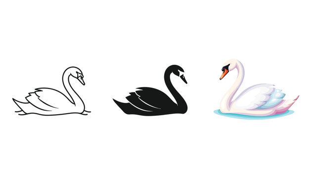 Set of three swans outline drawing, black silhouette and realistic swan illustration water
