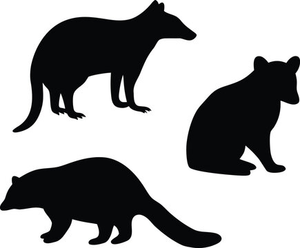 Collection of diverse wildlife animal silhouettes including standing, sitting, and walking poses