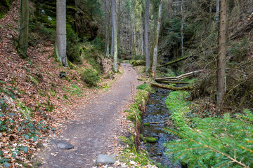 wandern im Elbsandsteingebirge s&auml;chsische Schweiz