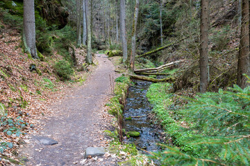 wandern im Elbsandsteingebirge s&auml;chsische Schweiz