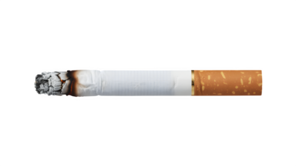 Burnt cigarette with ash on transparent background