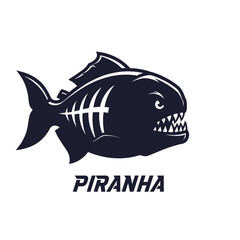 shark vector illustration