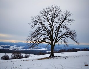 Fototapeta premium Solitary Leafless Tree Snowy Winter Landscape