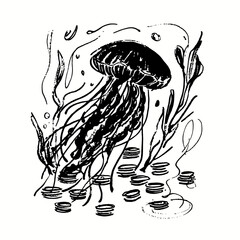 Artistic black and white illustration of a jellyfish © Edik