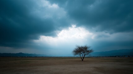 Solitary tree silhouette beneath dramatic storm clouds over vast open landscape with copy space