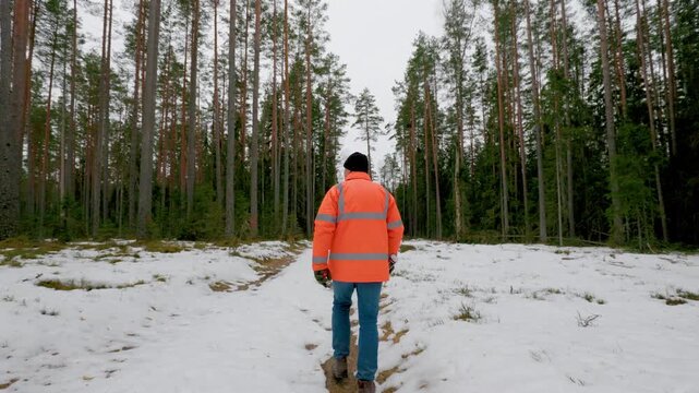 A person in an orange safety jacket and black beanie walks along a snowy trail into a dense pine forest, carrying tools, with overcast winter skies above