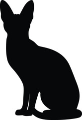 Elegant domestic cat sitting gracefully with pointed ears excellent for sophisticated pet themed marketing and branding