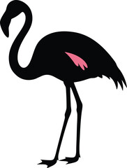 Elegant Flamingo Silhouette Revealing a Hint of Characteristic Pink Feathering on its Body