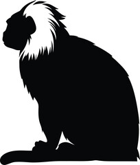 Elegant Side Profile Silhouette of a Cotton Top Tamarin Monkey with White Hair