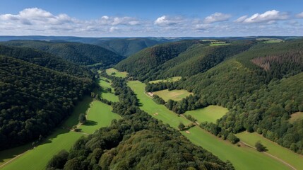 Wideangle view of lush green valley framed by towering pinecovered hills under bright blue sky with scattered clouds and gentle sunlight highlighting the vibrant landscape
