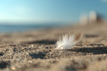 A delicate, light-colored feather rests gently on the glistening, granular sand of a tranquil beach under a soft, diffused sky. The close-up perspective and shallow depth of field create a serene, dre