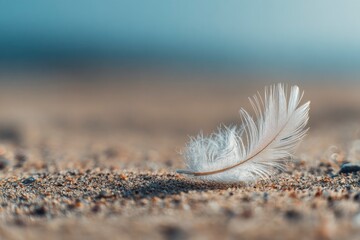 A delicate white feather rests gently on the finely textured grains of a sandy shore, beautifully illuminated by warm, soft light. Its intricate barbules and subtle golden quill are captured in exquis