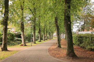 Obraz premium Blick in die Altstadt von Warendorf in Nordrhein-Westfalen 