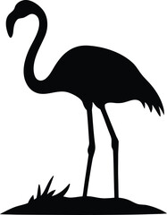 Majestic Black Silhouette of a Graceful Flamingo Bird Standing Poised on a Small Grassy Patch