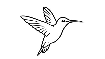 Obraz premium Hummingbird in flight with outstretched wings