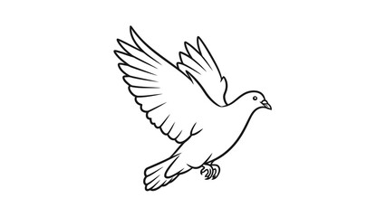 Obraz premium Dove flying in the air with wings spread