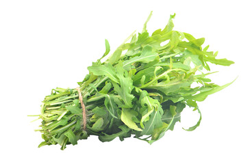 Fresh rucola lettuce Arugula isolated on white