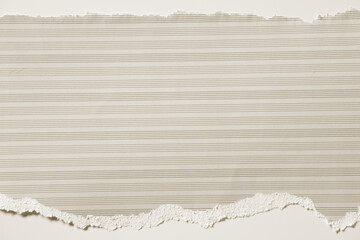 beige color piece of paper with irregular, ripped, and torn edges