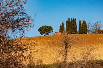 Italia, Toscana, campagna di San Casciano, Firenze.