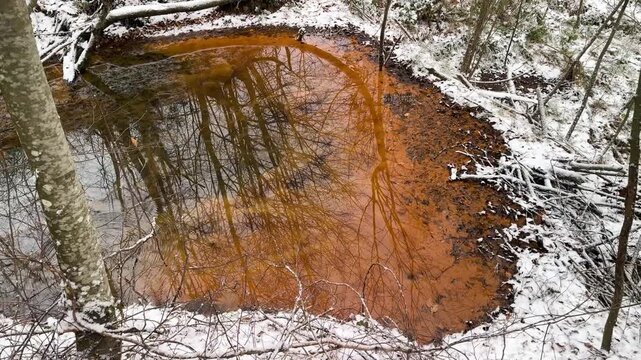 Beavers have built many small lakes in the mountains. One of them has a mineral spring of iron-rich sulfur water. A polarizing filter makes the water clear&mdash;a picturesque effect with the bottom.