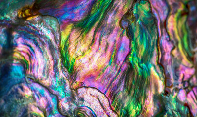 Obraz premium High magnification macro of nature texture pearl shell. Rainbow colors abstract background close-up.
