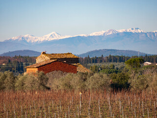 Italia, Toscana, campagna di San Casciano, Firenze. Veduta delle Apuane.