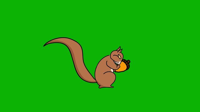 Squirrel Animation &ndash; Green Screen. Cute squirrel moving playfully for animal and kids video scenes.