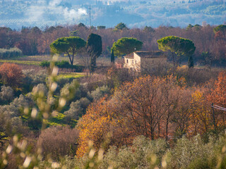 Italia, Toscana, campagna di San Casciano, Firenze.