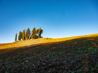Italia, Toscana, campagna di San Casciano, Firenze.