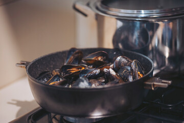 Mussels are placed in a black pot sitting on the stove. The kitchen has bright lighting, indicating daytime. Nearby is a stainless steel pot, adding to the cooking scene