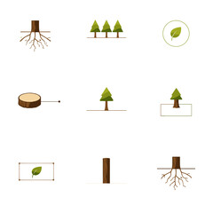 Seedling growth icon set showing sprout stages and soil block isolated
