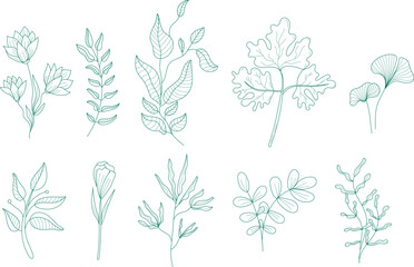 Minimalist botanical line art set with hand drawn leaves, flowers and branches. Elegant floral doodles in modern outline style, perfect for logos, branding, invitations, packaging, posters and wall ar