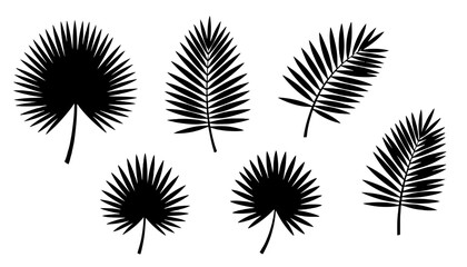 Tropical Palm Leaf Line Art