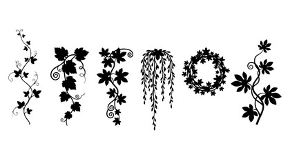 Elegant Vining Plant Silhouette