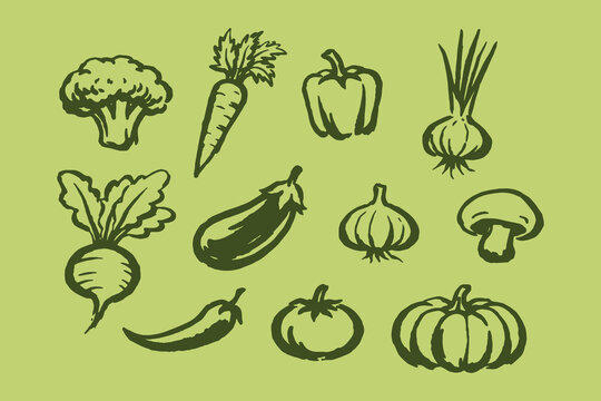 Vegetable set ink sketch icons vector